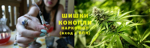 PSILOCYBIN Осташков