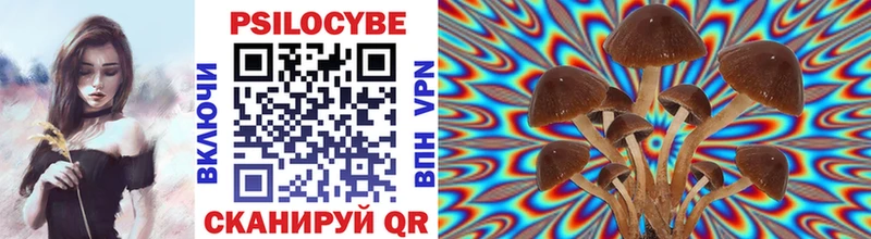наркошоп  blacksprut ССЫЛКА  Галлюциногенные грибы Psilocybe  Магас 